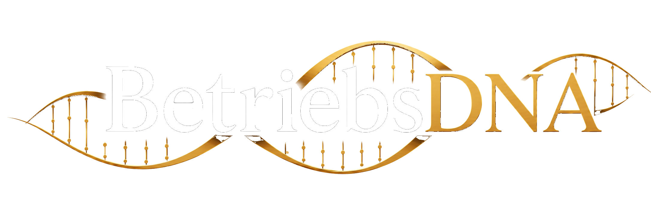 BetriebsDNA